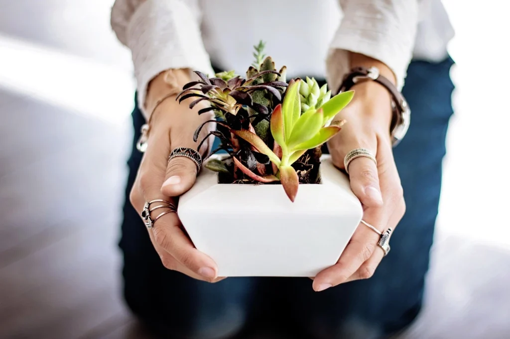 A lady handling a mini plant in hands